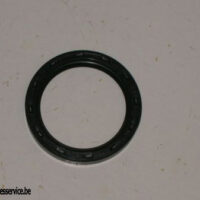 40-0025 - SEAL - CRANKSHAFT - 250/350/441 | BSA