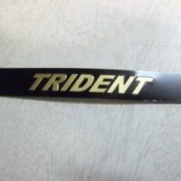 60-4569 - Motif side panel Trident | Triumph