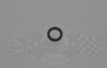 70-6299 - O-RING - 5/16X7/16 | Triumph