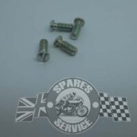82-3113 - Petrol Tank Badge Screw | Triumph