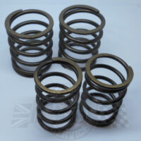 Valve spring set Model 50 & ES2-0