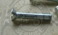 Clutch plate retaining screw-0
